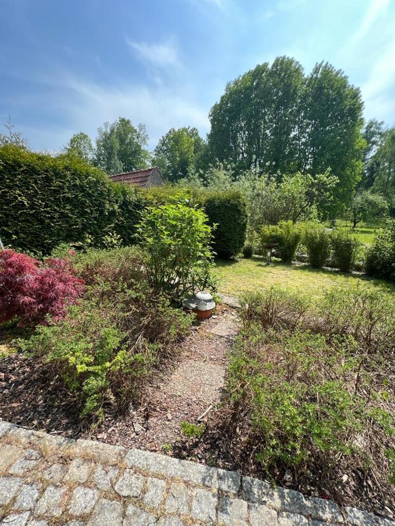 Haus Am Berzdorfer See - 3 Schlafzimmer - Ganzes Haus Zur Alleinnutzung - Terrasse - Hochwertige Ausstattung Görlitz Eksteriør billede