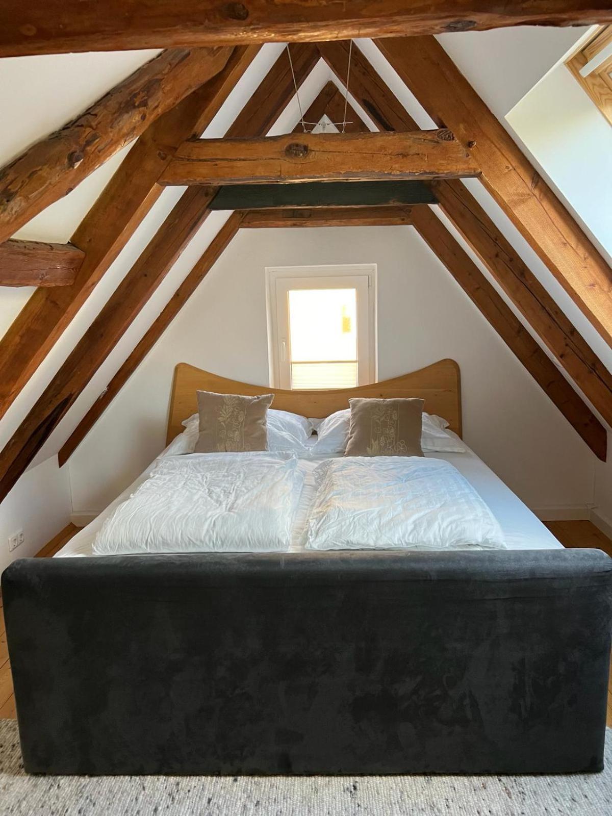 Haus Am Berzdorfer See - 3 Schlafzimmer - Ganzes Haus Zur Alleinnutzung - Terrasse - Hochwertige Ausstattung Görlitz Eksteriør billede