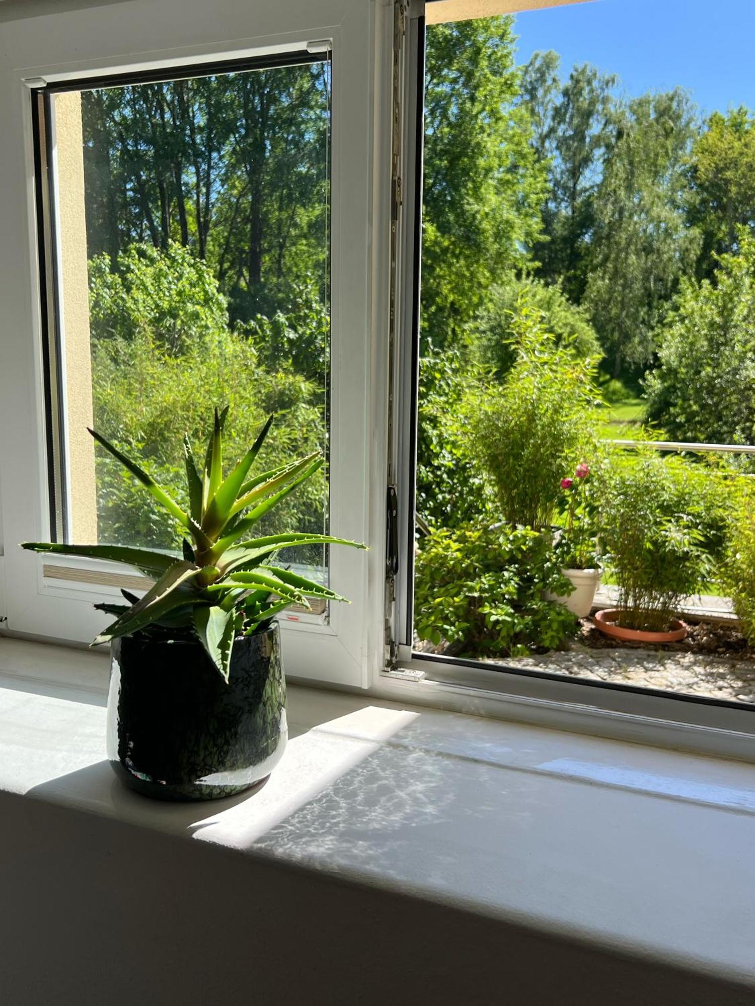 Haus Am Berzdorfer See - 3 Schlafzimmer - Ganzes Haus Zur Alleinnutzung - Terrasse - Hochwertige Ausstattung Görlitz Eksteriør billede